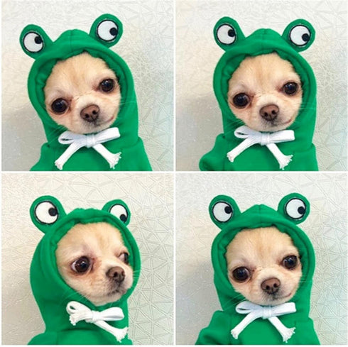 Warm Dog Winter Clothes Cute Fruit Dog Coat Hoodies Fleece Pet Dogs Costume Jacket for French Bulldog Chihuahua Ropa Para Perro(Green,XS)...