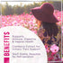 Women's Probiotic - Probiotics for Women Gummy for Digestive Health, Vaginal pH, Urinary & Immune Health Support, 3 Billion CFU w/Cranberry, Probi...