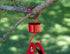 Large Ant Moat for Hummingbird Feeders, Metal Bird Feeder's Hook - Ant Guard for Bird Feeders, Plant Baskets, Bird Houses - Red Color (2 Ant Moats...