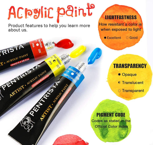 Acrylic Paint Set,Canvas Painting Kit with 12 Colors Artist Quality, 3 Art Brushes & 1 Palette for Adults Beginners,Craft Paint Tubes for Canvas W...
