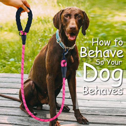 2 Pack Dog Leash 5 FT Thick Durable Nylon Rope - Comfortable Padded Handle Reflective Rope Dog Leash for Medium Large Dogs with Collapsible Pet Bo...