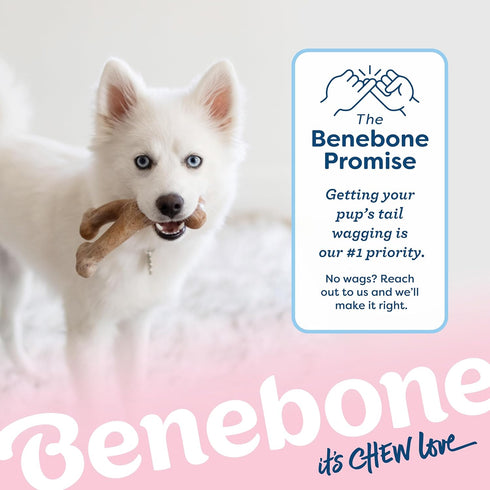 Benebone Puppy Wishbone Dog Chew Toy, Made in USA, Real Bacon Flavor, Small...