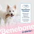 Benebone Puppy Wishbone Dog Chew Toy, Made in USA, Real Bacon Flavor, Small...
