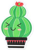Cactus Bulletin Board Cutouts, Colorful Chalkboard Borders (40 Pieces)...