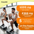 5-in-1 Ceylon Cinnamon Capsules 2355mg - Ceylon Cinnamon and Apple Cider Vinegar Capsules - Turmeric and Panax Ginseng Capsules - Cinnamon Supplem...