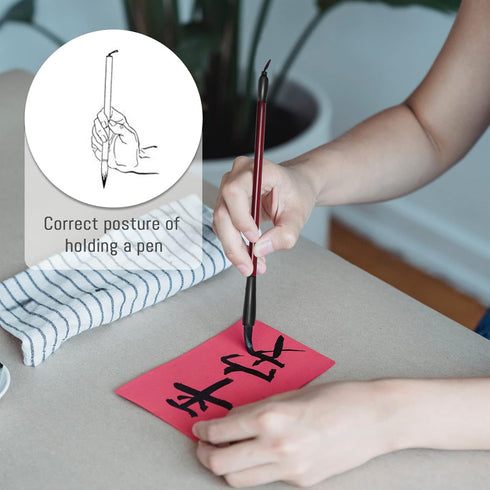3 Sizes Chinese Calligraphy Brush Set, Kanji Sumi Drawing Brush with Resin Handle, Professional Traditional Chinese Painting Brush for Beginners S...
