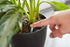 Miracle-Gro Indoor Plant Food Spikes, Includes 48 Spikes - Continuous Feeding for all Flowering and Foliage Houseplants - NPK 6-12-6...