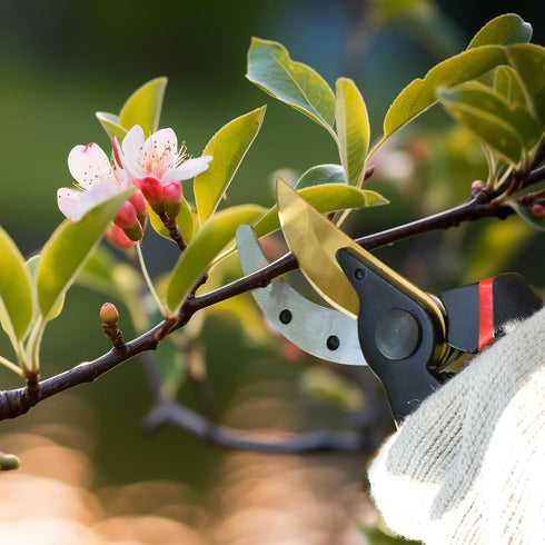 Bypass Pruning Shears Max.1-1/4" Handheld Garden Tools Plant Scissors Trimming Gardening Pruners Clippers Advanced Carbon Tool Steel...