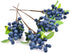 HUIANER Artificial Berries, 4pcs Artificial Blueberry with Stems Christmas Lifelike Fruits Fake Blueberries Simulation Flowers for Valentine's Day...