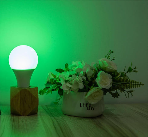 Smart Bulb A19 RGBCW LED Light 2.4 GHz Wi-Fi, 9W (Equivalent to 60W) 800LM, Voice Compatible with Alexa,Google Assistant and IFTTT, Multicolor 270...