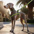 Mile High Life Night Reflective Double Adjustable Band Nylon Small Puppy Pet Dog Combo Collar Leash and Harness Set (Reflective Edge Lime Green, M...