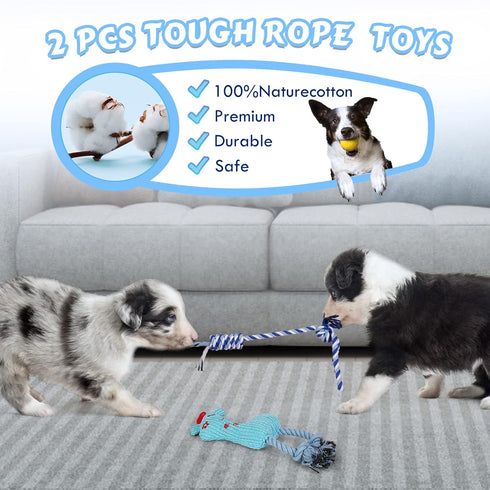 Puppy Toy for Teething Soft & Durable 6-pack Dog Chew Squeaky Toys for Small and Medium Dogs Suitable for 2-8 Months Puppies’ Teething Small Dog T...