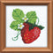 RIOLIS Embroidery kit Garden Strawberry...