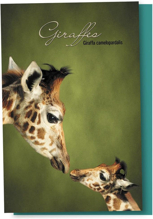 Tree-Free Greetings EcoNotes 12 Count Parent and Child Giraffe All Occasion Notecard Set with Envelopes, 4 x 6 Inches (FS66812)...