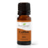 Plant Therapy Coffee Essential Oil 100% Pure, Undiluted, Natural Aromatherapy, Therapeutic Grade 10 mL (1/3 oz)...