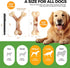 2 Pack Indestructible Dog Bones Chew Toys for Aggressive Chewers, Long Lasting Nylon Bone Tough Durable Dog Toys Puppy Toys Teeth Cleaning for Med...