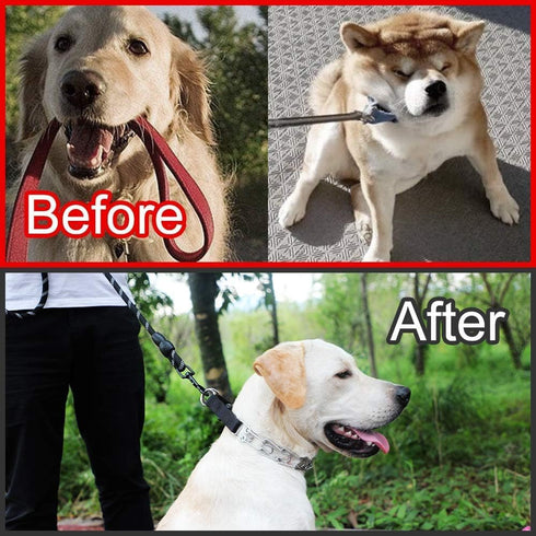 Dog Prong Collar, Adjustable Dog Training Collar with Quick Release Buckle for Medium Large Dogs (A-M/3.0mm (Neck: 16"-18'' Weight:50 lbs))...