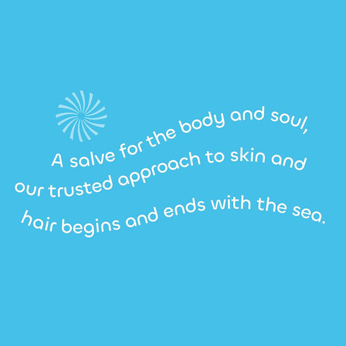 Seaweed Bath Co. Exfoliate Detox Body Soap, 3.75 Ounce (Pack of 3), Sustainably Harvested Seaweed, Charcoal...