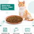 Gerrii 12 Pieces Whisker Fatigue Relief Cat Bowl 6 Inch Shallow Cat Food Dish Cat Wet Feeding Bowls Wide and Small Pet Plate for Kittens and Short...