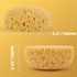 2PCS Knockdown Texture Sponge - Drywall Repair Texture Spray Drywall Texture Patch Sponge for Painting Ceiling Wall Knock Down Texture Tool Paint ...