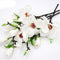 DULRLLY 6Pcs Artificial Magnolia Flowers, Real Touch Magnolia Bouquet for Floral Arrangement, White Silk Magnolia with Leaves for Vases Home Decor...