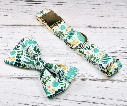 Watermelon Pet Tropical Fern Leaf Dog Bow Tie Dog Collar,Detachable Bowtie Accessory, Adjustable Collar for Small Medium Large Dogs, M (12 --20 in...