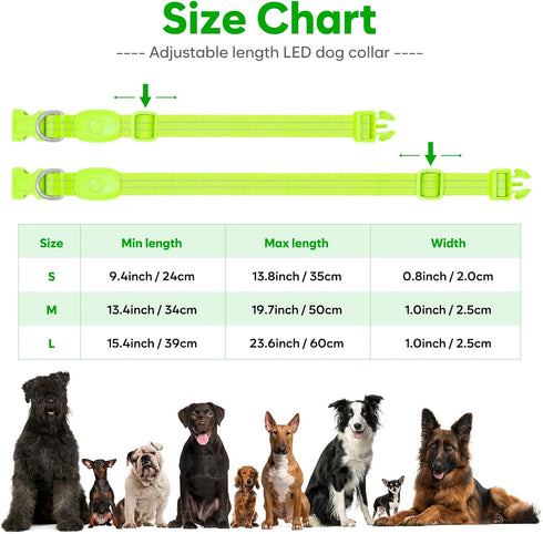 Light Up Dog Collars Rechargeable, Reflective LED Glow Dark Dog Collar for Small Medium Large Dogs, Adjustable Pet Dog Lights for Safe Night Walk-...