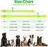 Light Up Dog Collars Rechargeable, Reflective LED Glow Dark Dog Collar for Small Medium Large Dogs, Adjustable Pet Dog Lights for Safe Night Walk-...