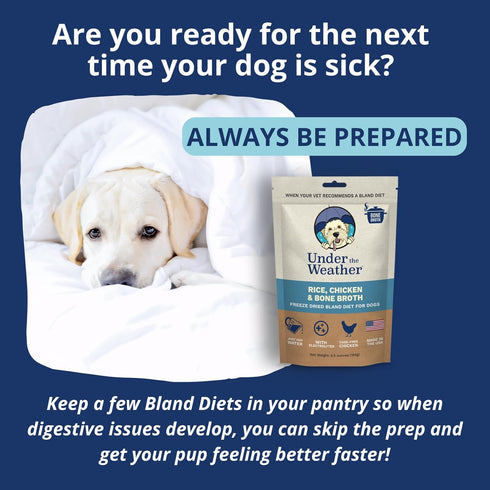 Under the Weather Easy to Digest Bland Diet for Sick Dogs - Always Be Ready - Contains Electrolytes - Gluten Free, All Natural, Freeze Dried 100% ...