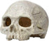 Aquarium Ornament - Emulational Skull Decor Resin decorations...