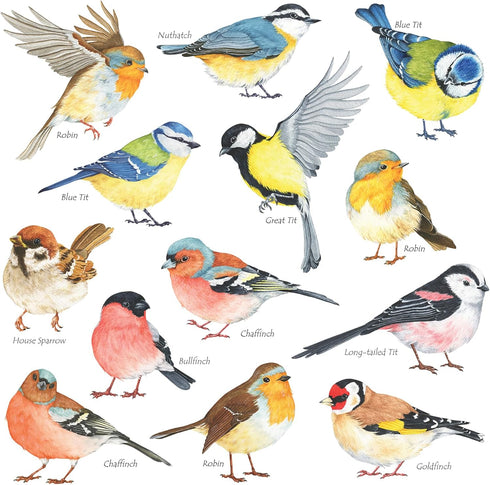DECOWALL DS2-8038 Little Birds Kids Wall Stickers Wall Decals Peel and Stick Removable Wall Stickers for Kids Nursery Bedroom Living Room (Small) ...