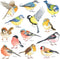 DECOWALL DS2-8038 Little Birds Kids Wall Stickers Wall Decals Peel and Stick Removable Wall Stickers for Kids Nursery Bedroom Living Room (Small) ...