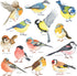 DECOWALL DS2-8038 Little Birds Kids Wall Stickers Wall Decals Peel and Stick Removable Wall Stickers for Kids Nursery Bedroom Living Room (Small) ...