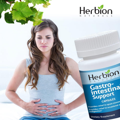 Herbion Naturals Gastro-intestinal Support Herbal Blend for Upset Stomach Relief, Gastrointestinal Health and Function, Occasional Acid Indigestio...