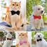 Cat Collar Breakaway with Bells - 3 Pack Breakaway Cat Collars Quick Release Safe Buckle Adjustable Kitten Collar for Girl Boy Cats Pets Supplies,...