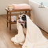 Microfiber Dog and Cat Towel Set – Quick-Dry, Soft Bath and Grooming Towels for Pets, Includes 2 Different Sized Towels – Cloud Pet Towels...