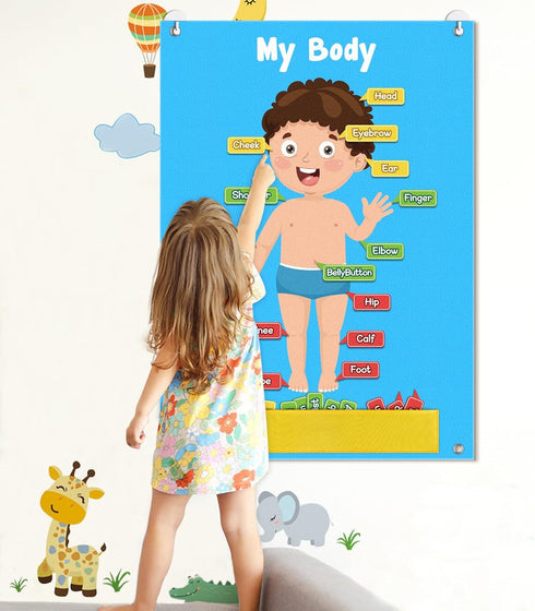 35 Pcs Body Parts for Kids Felt Board Set Preschool Learning Interactive Educational Human Teaching Storytelling Early Learning Play Kit Interacti...