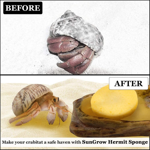 Hermit Crab Sponges for Water, 3 Pack Unbleached Hermit Crab Accessories & Supplies, Pet Crab Sponges Provide Nutrients and Maintain Tank Humidity...