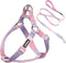 AIITLE No Pull Small Dog Harness and Leash Set - Escape Proof/Quick Fit Dog Halter Harness,Easy for Training Walking - Sturdy Transparent Buckle -...