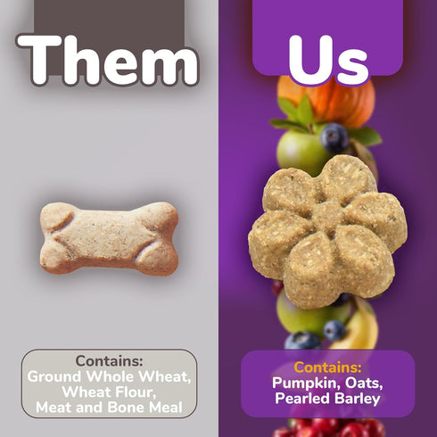Fruitables Baked Dog Treats – Healthy Low Calorie , Free of Wheat, Corn and Soy – Pumpkin and Blueberry – 12 Ounces...