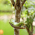 Frog Statues for Garden Outdoors Hanging Sleeping Frog Sculptures Swing Home Décor...