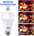 150 Watt LED Light Bulb, Super Bright A21 Daylight 5000K, Non-Dimmable, 2300lm, High Lumen Light Bulbs, UL Listed, 2-Pack...