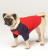 Simplicity Sporty Pet Clothes Sewing Pattern Kit, Code S9532, XS-S-M-L-XL, Multicolor...