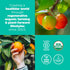 Navitas Organics Superfood+ Immunity Blend (Camu + Orange + Acerola Cherry), 30 Servings — Organic, Non-GMO, Vegan, Gluten-Free, Keto & Paleo, 4.2...