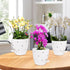6 Inch Orchid Pots with Holes, 2 Pack Self Watering Planters for Orchids Plastic Orchid Pot Plant Flower Pots for Orchids Indoor Outdoor (White)...