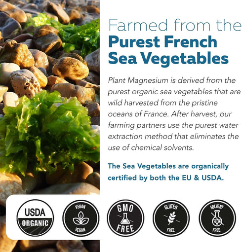 Organic Magnesium | Whole Food Magnesium - Plant-Based, Organic Sea Vegetable Complex - 250 mg Magnesium Per Serving | Water Extracted | Gentle on...