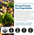 Organic Magnesium | Whole Food Magnesium - Plant-Based, Organic Sea Vegetable Complex - 250 mg Magnesium Per Serving | Water Extracted | Gentle on...