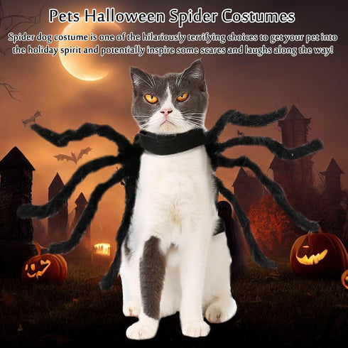Dog Halloween Costumes, Halloween Spider Costume for Dog Cats, Pet Halloween Cosplay Dress Up Costume Accessories Decoration for Dogs Puppy (Size ...