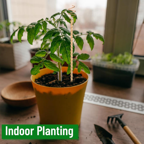 12 Pcs Electroculture Copper Gardening Antenna Long Copper Garden Stake Electroculture Plant Stake Garden Tool Coil Electronic Planting for Growin...