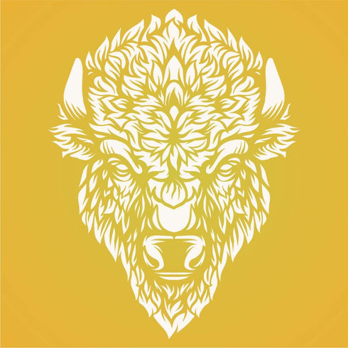 Bison Head Stencil, 8.5 x 11 inch (M) - Classic American Buffalo Bison Head Stencils Template for Painting...